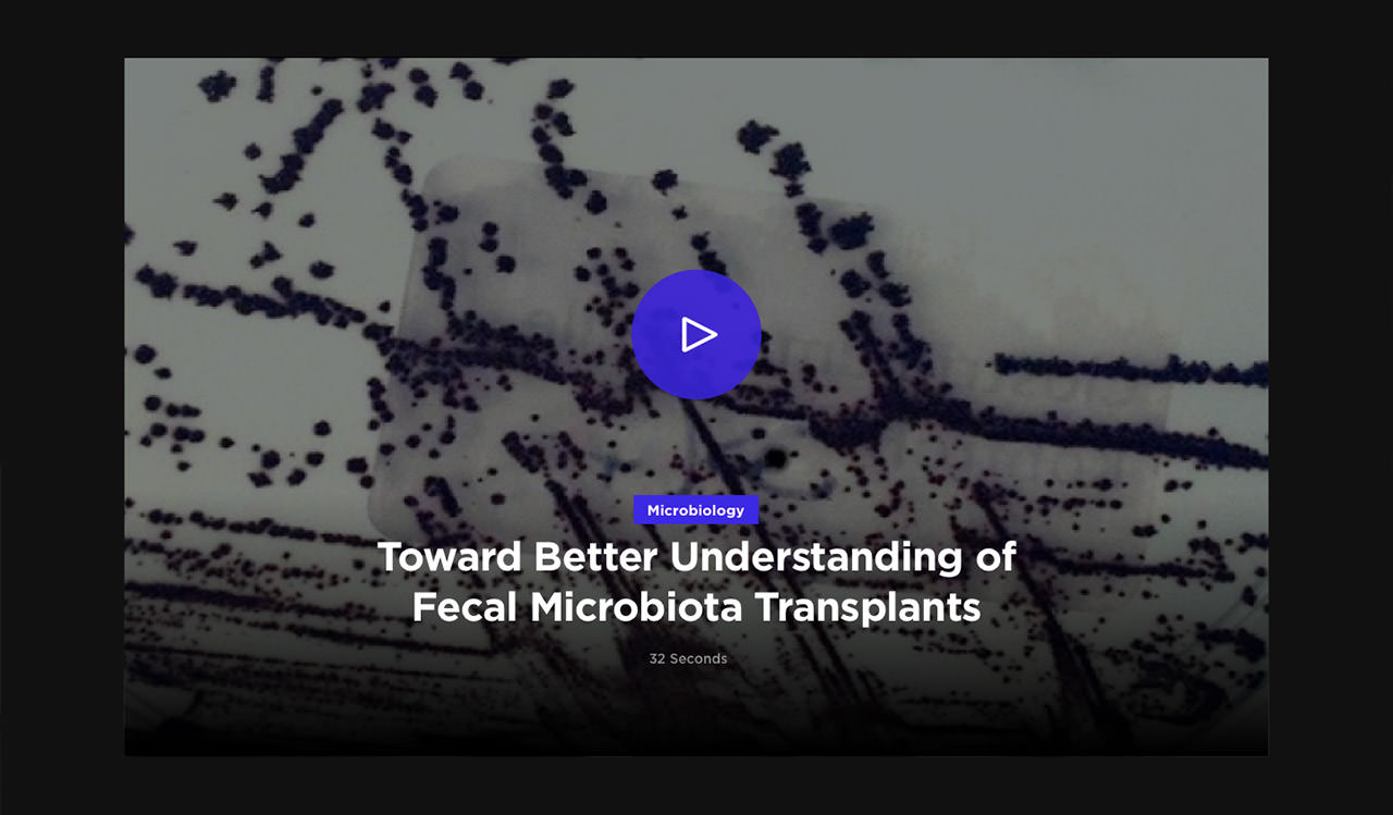 American Society for Microbiology - MicroNow